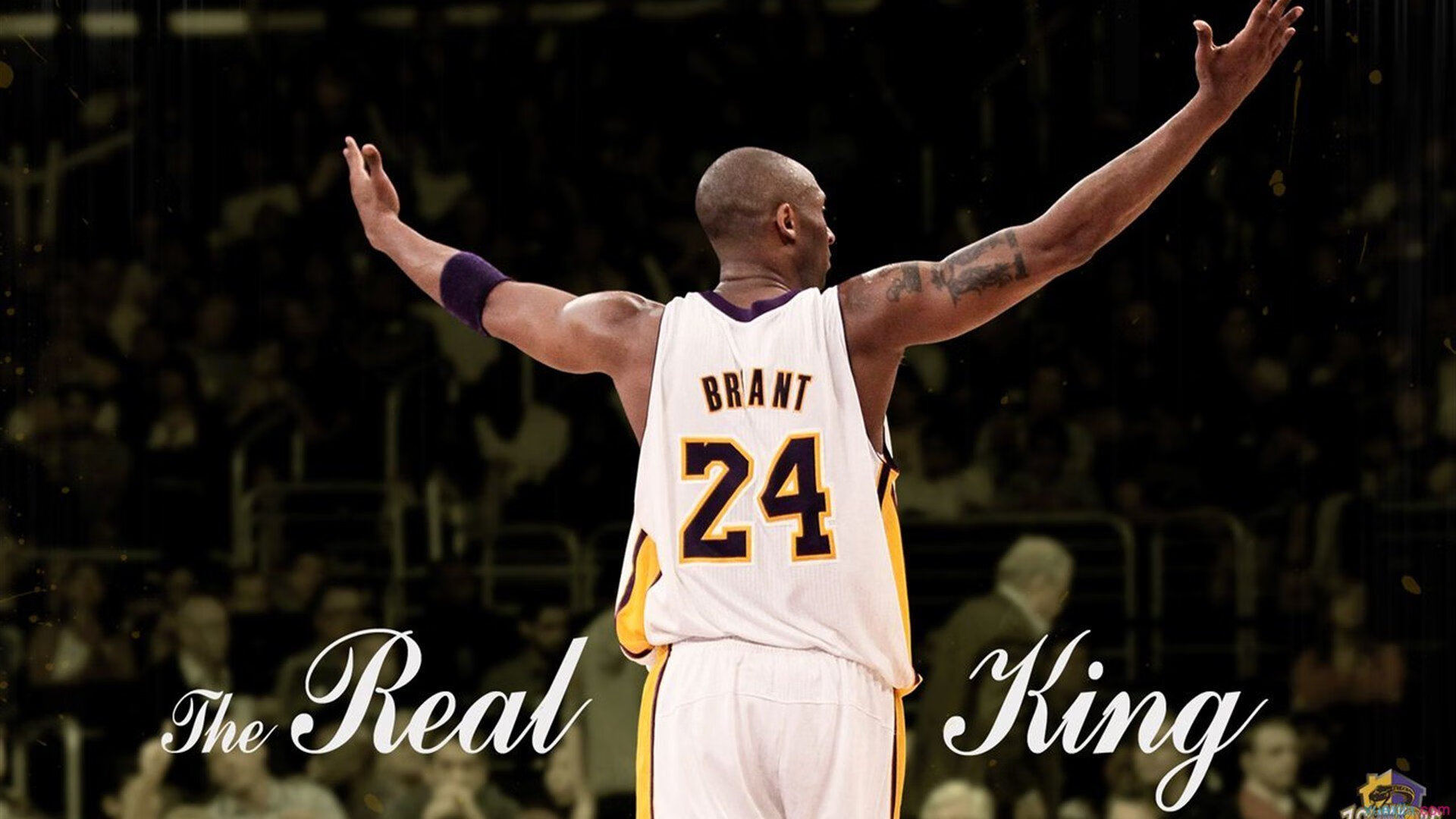 冠军球队主场改造计划公布,设施更现代化,冠军球场怎么样